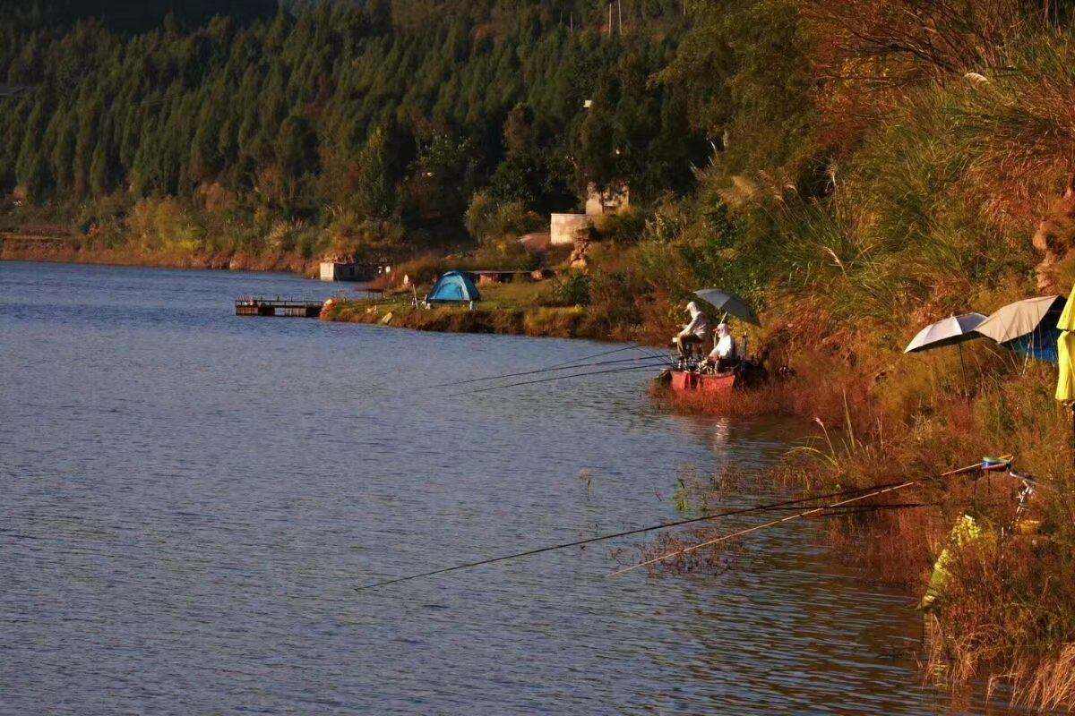 好消息!这两地开放数百个野钓区,期待其他地区跟进
