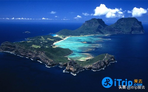 豪勋爵岛竹节虫,澳洲黄金海岸景点推荐