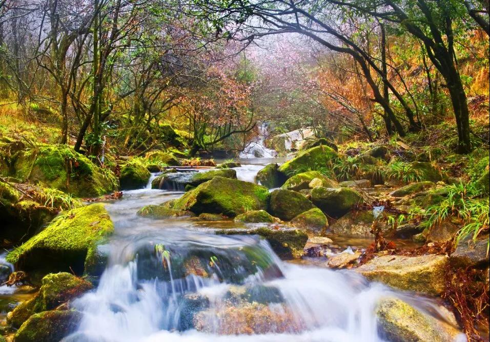 11月中旬羊狮慕景区,江西羊狮慕旅游攻略