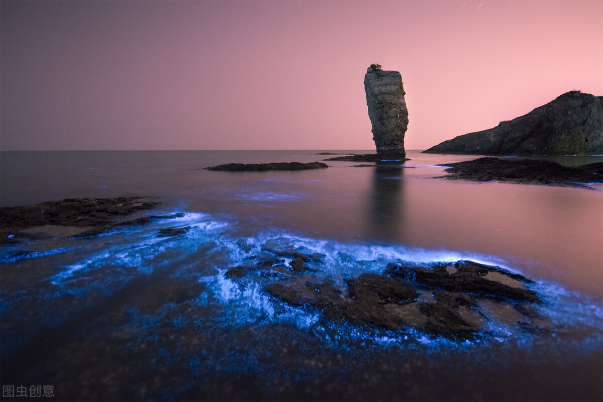 派大星变成巨型海星攻击人类,派大星海星是怎么繁殖