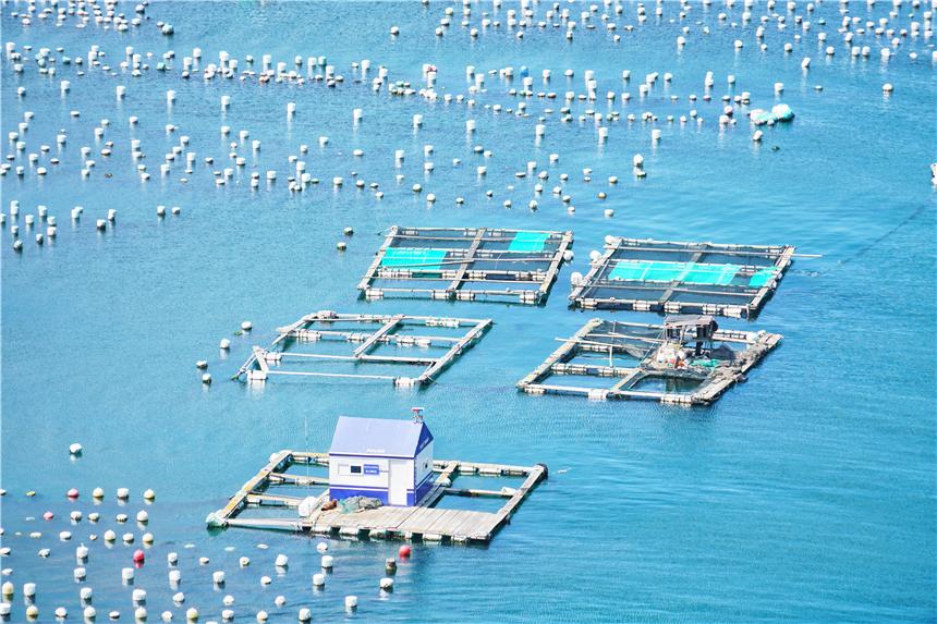 嵊泗旅游美食攻略,嵊泗攻略3天2夜美食推荐