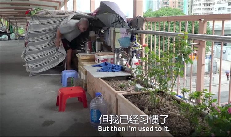 住鸽子笼真有那么好吗,香港人住鸽子笼的真实生活