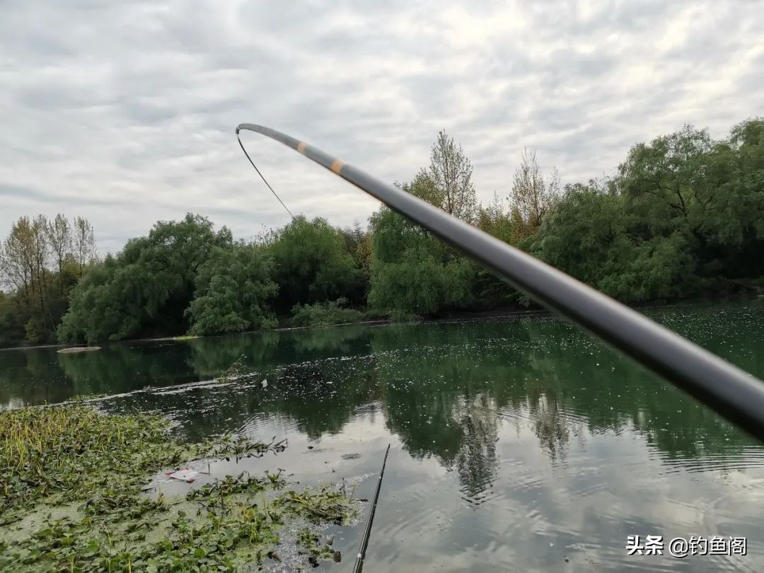 入门级野钓鱼竿推荐top10,推荐几款简单的钓鱼竿好用