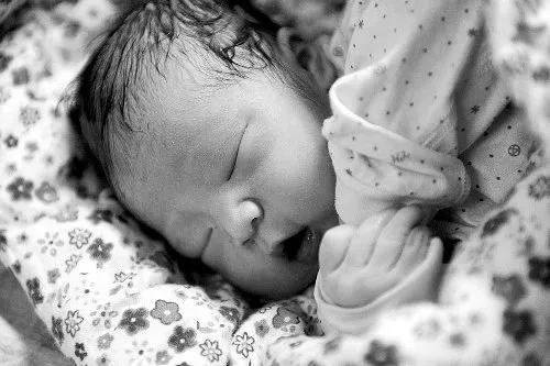 李萍的人生大实话,平平淡淡李萍