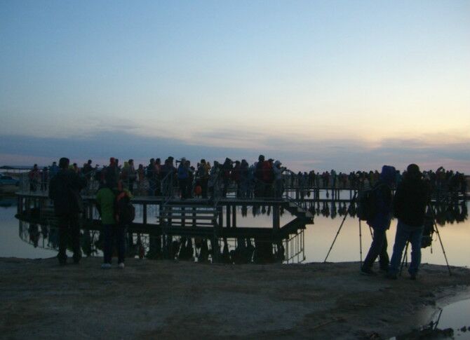 成都到额济纳旗五日游,南京到额济纳旗旅游攻略