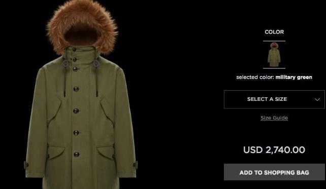 为啥国产羽绒服卖不过加拿大鹅,国产羽绒服凭什么这么贵