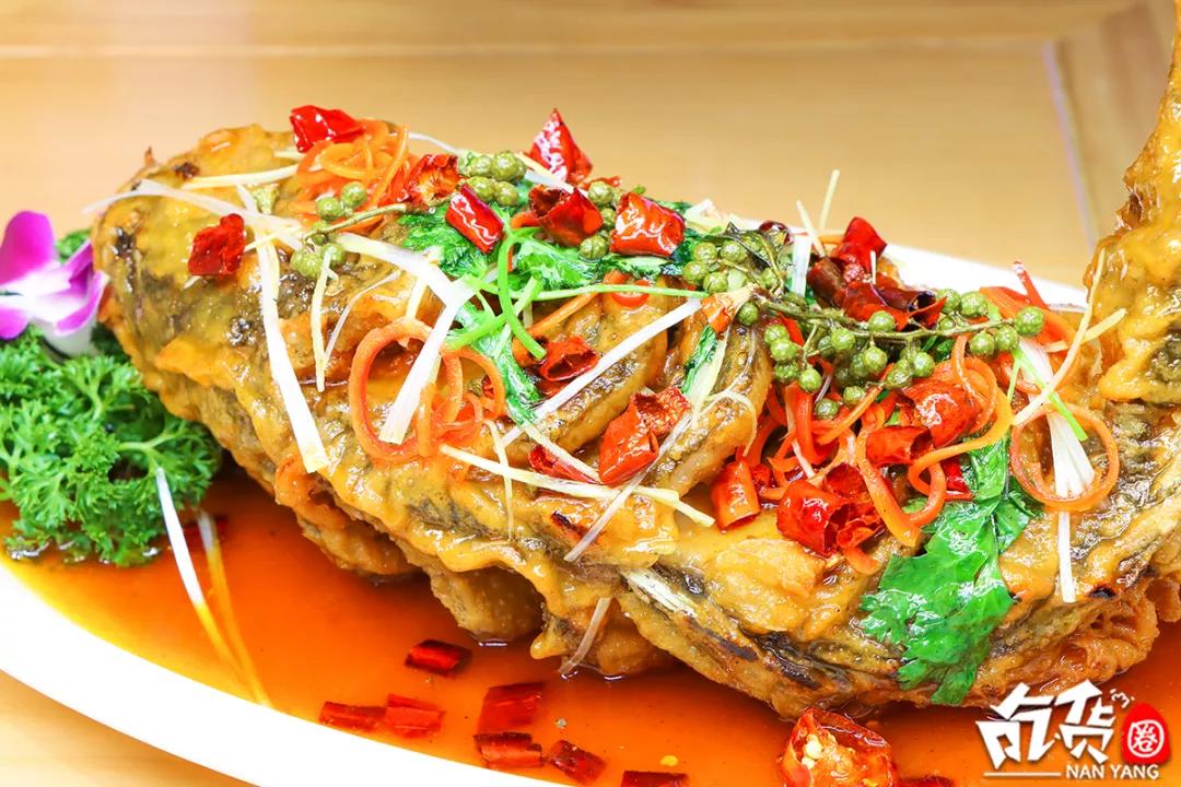 南阳这家羊肉汤，每天卖出200碗！进门先排队，羊肉包子抢着吃