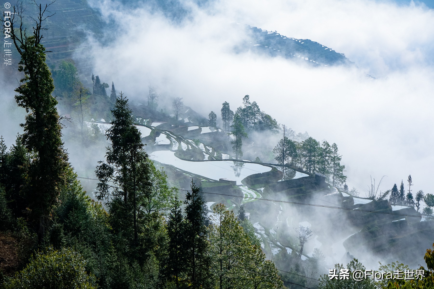 建水罗平元阳自由行攻略,云南元阳县旅游攻略路线