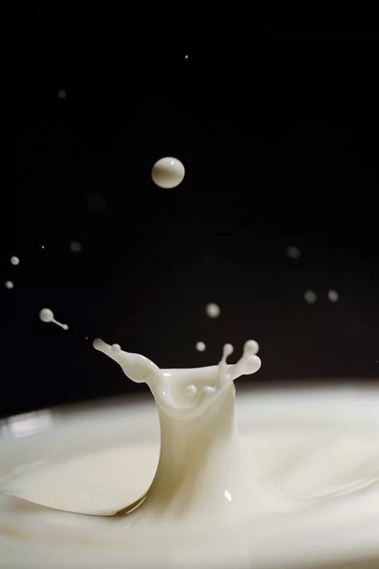 关于牛奶的这些知识你真的了解吗,牛奶虽好哪10类人不宜喝牛奶