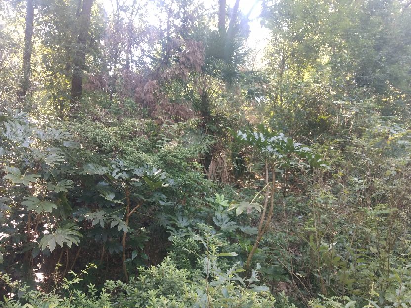 襄阳人苞谷味在臆想中的古隆中卧龙岗居于何地?