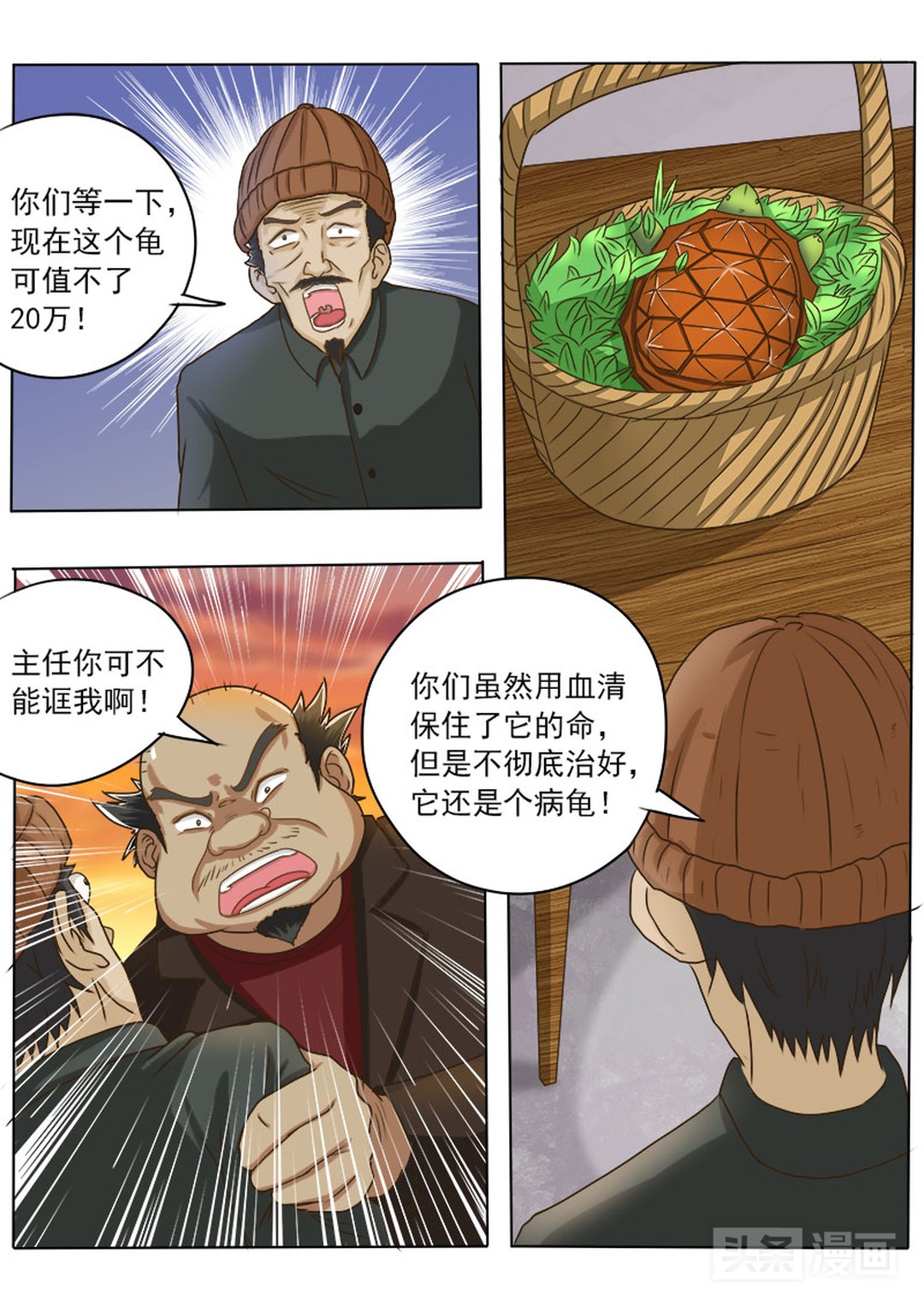 意外得知金龟价值，为了帮老板还债，小伙又该怎样救治中毒金龟？