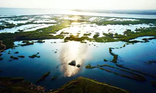 在上海拥有这样一个露台多幸福,在上海有一种温暖叫邻里互助