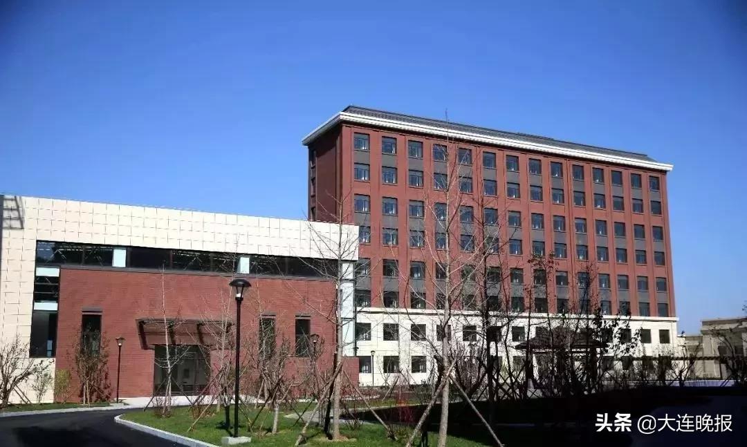 大连大型专业足球场,3万人体育馆有多大