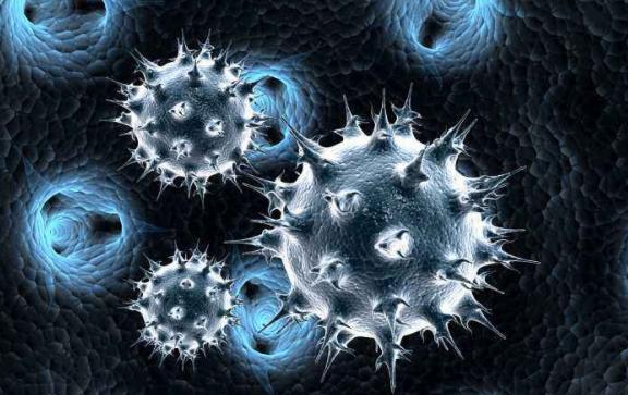 现在水果被雨淋还能吃吗,稍微腐烂的水果能吃吗