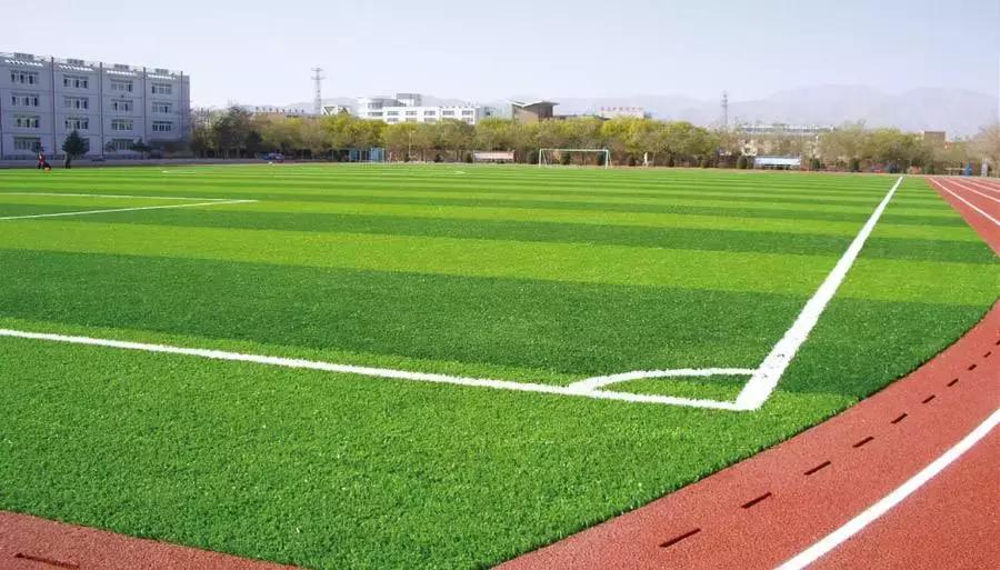 快来报名吧,快来报名吧完整视频