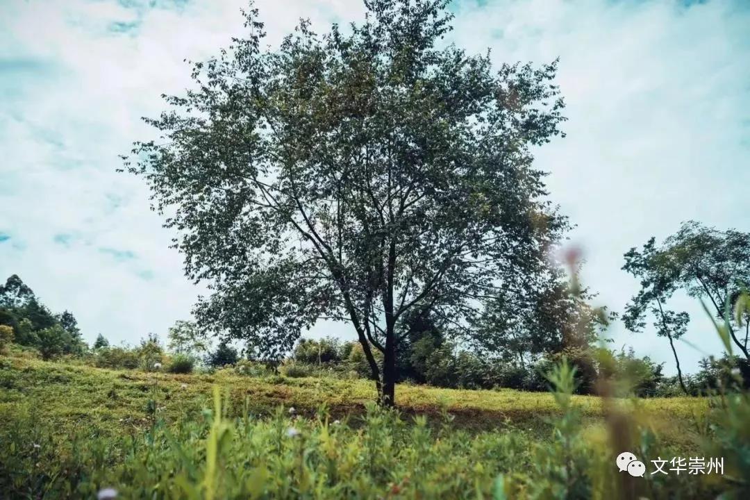 依山傍水,到“历空山·道明”感受世外桃源