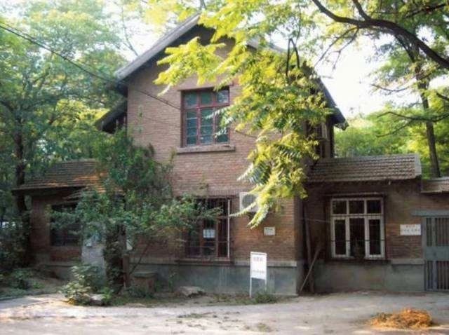 清华恋爱史,清华北大恋爱史