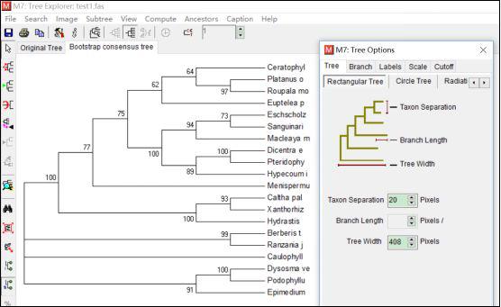 手把手教你构建漂亮的进化树,系统进化树怎么调试节点