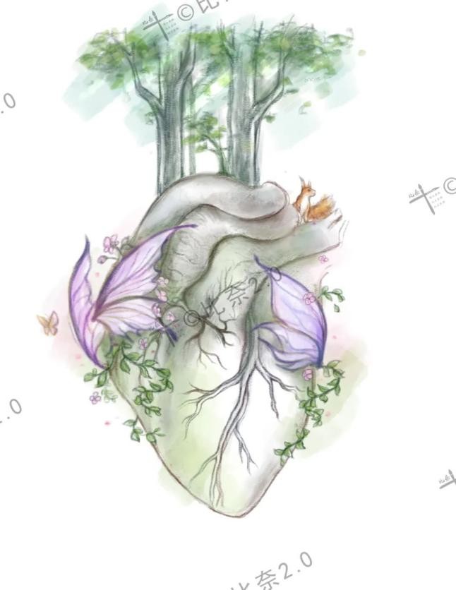 灵魂画手的手绘作品,医学生手绘器官创意解剖绘画