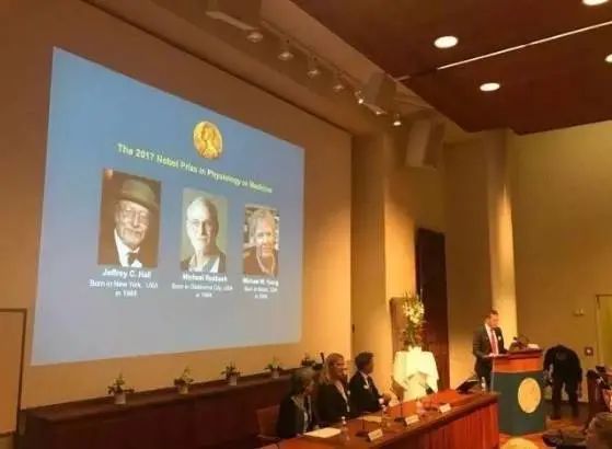 健完身第2天手酸抬不起来,健完身第二天胳膊抬不起来了