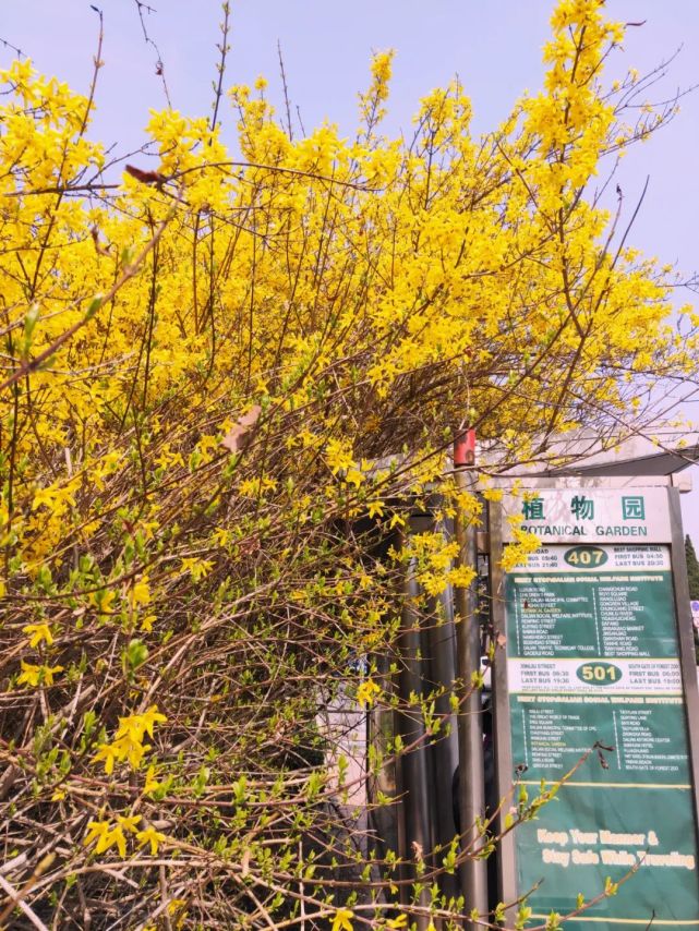 大连游玩街区,大连旅游街区推荐名单