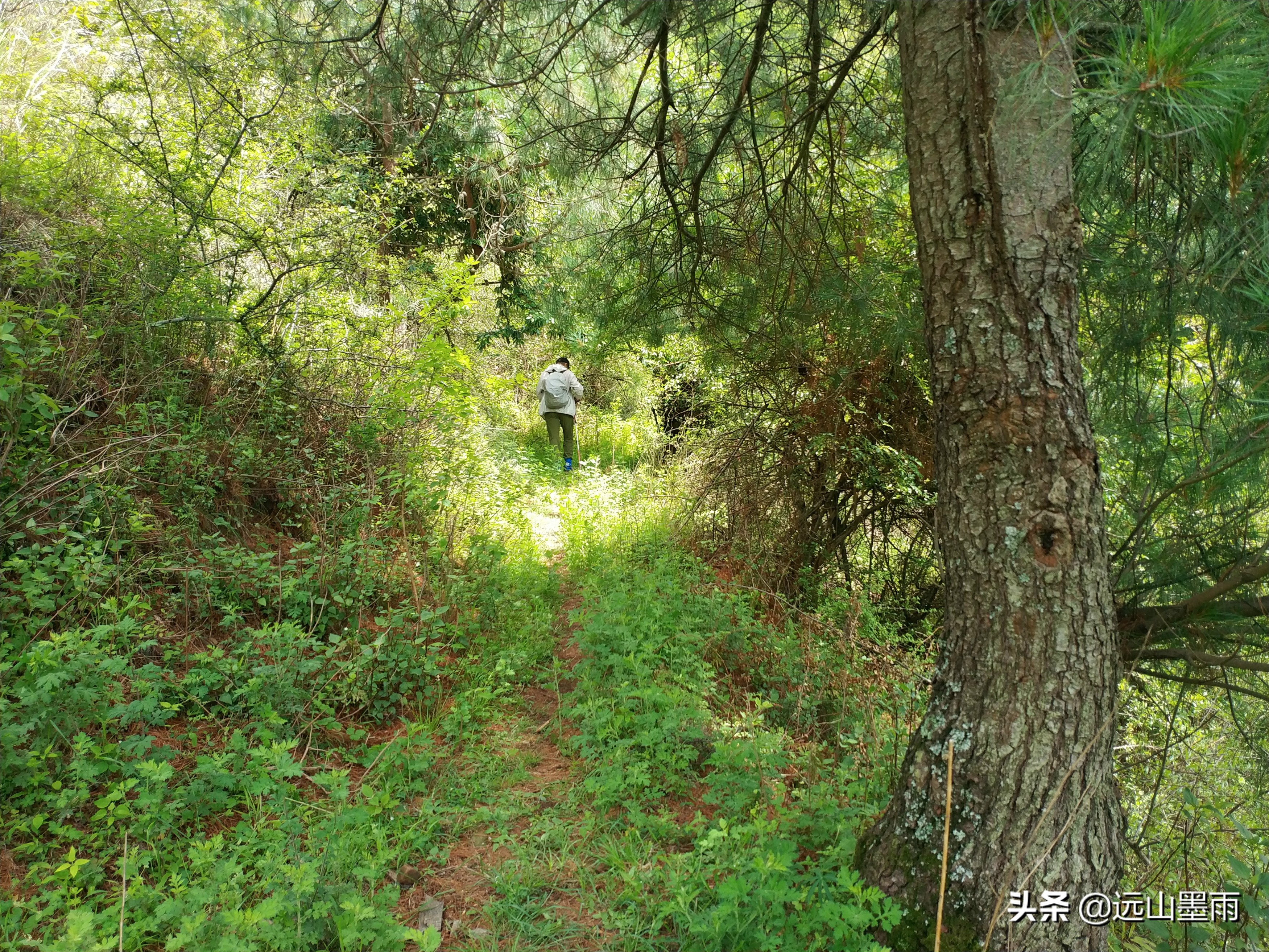 昆明晋宁最出名的街,晋宁二街到八街多少公里