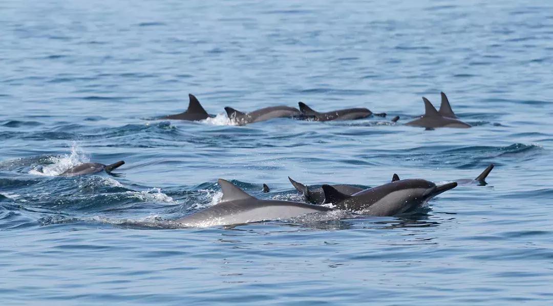 中国最受欢迎的顶级野奢酒店,中国最受欢迎的顶级野奢酒店合集