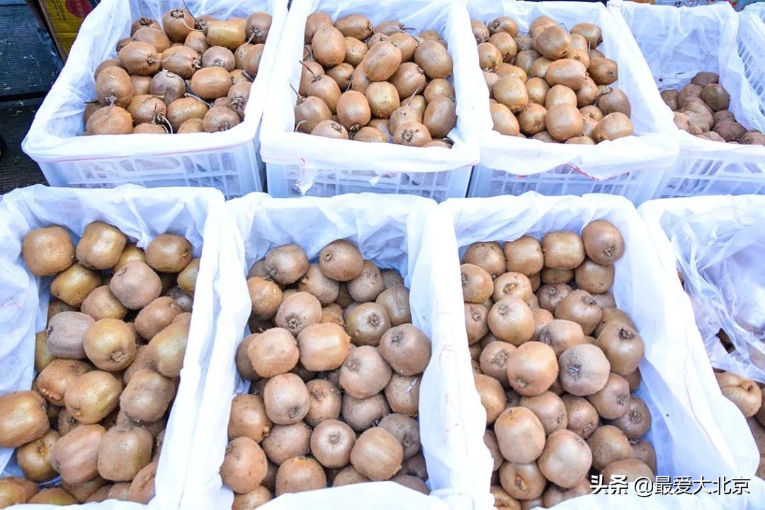 带你逛北京最大早市,北京正宗早市推荐