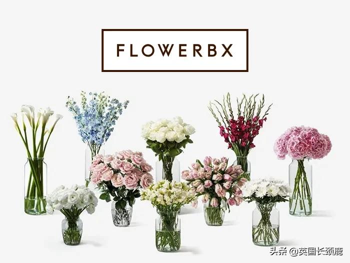 情人节来了怎么少的了fafa?英国鲜花速递服务大盘点:浪漫满分