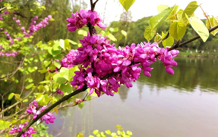 美丽的南湖公园夜景,南湖风景区真的太美了