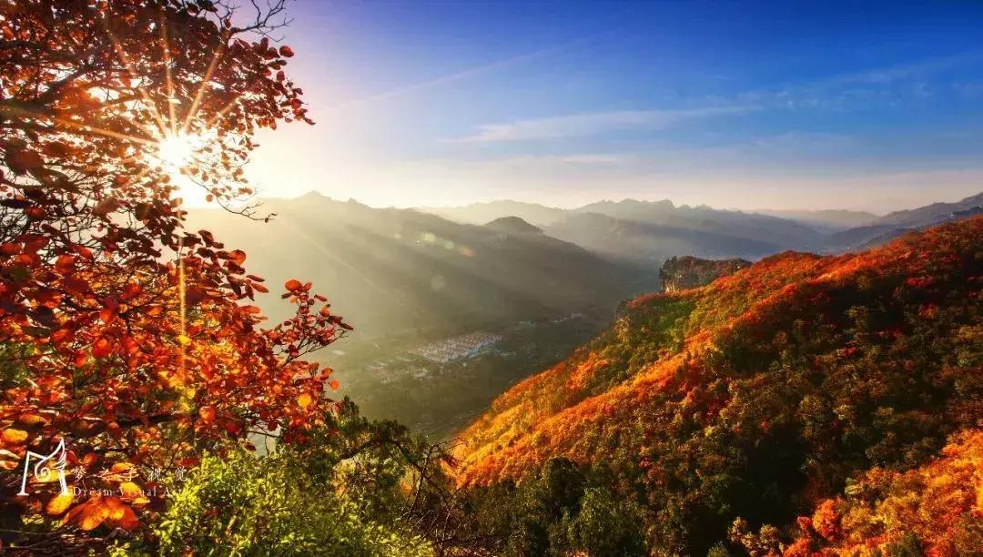 潍坊五一夜晚适合去哪里玩,潍坊海上明珠乐园五一活动