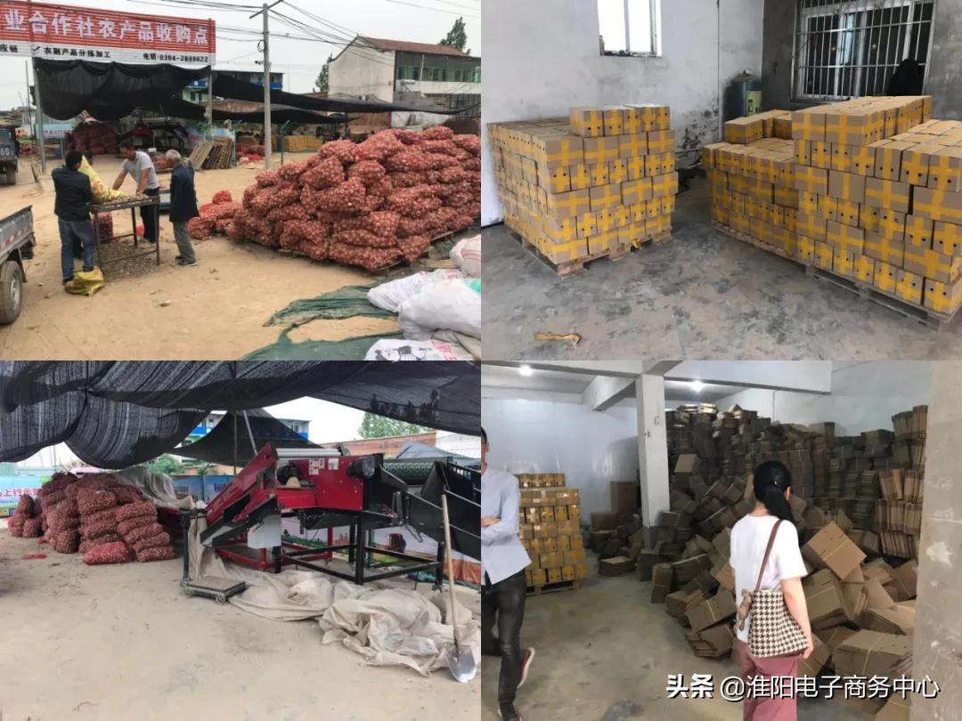 3天销量突破10万单,3天卖了4万斤大葱