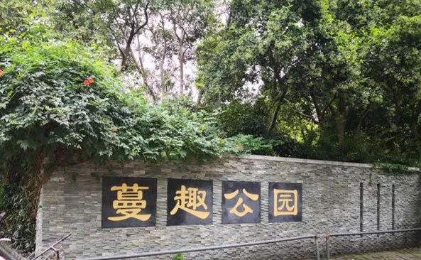 上海可以一路玩下来的地铁线,上海最新41条地铁