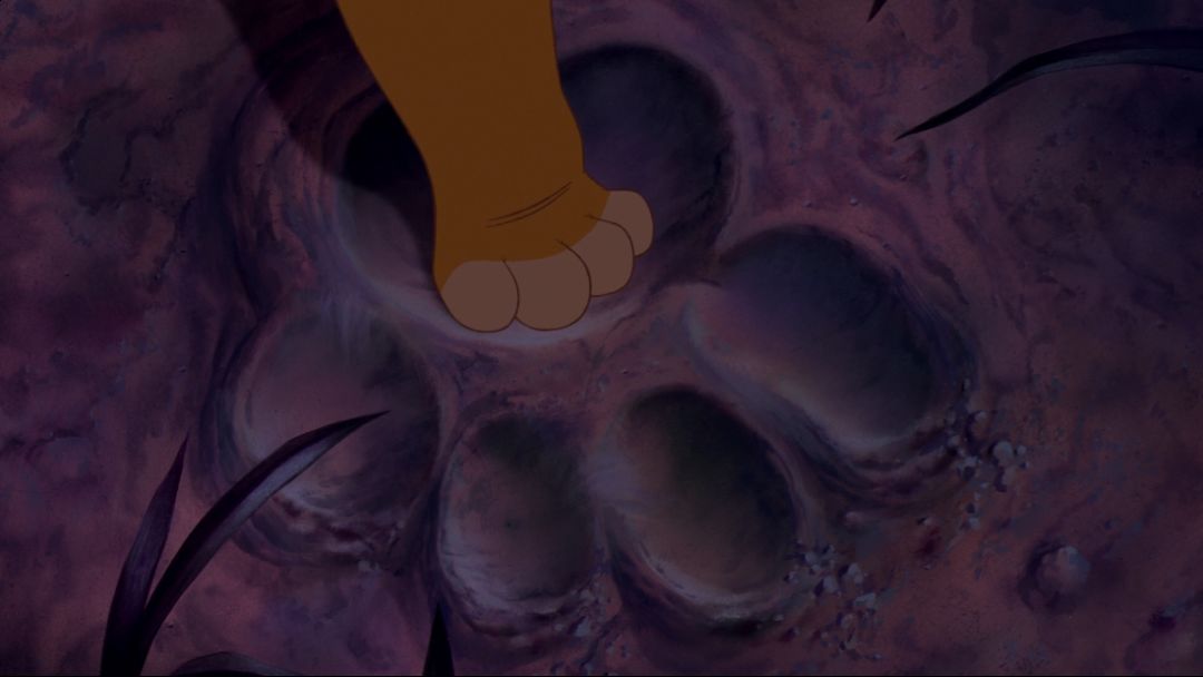 狮子王真兽版,狮子王真实版合集