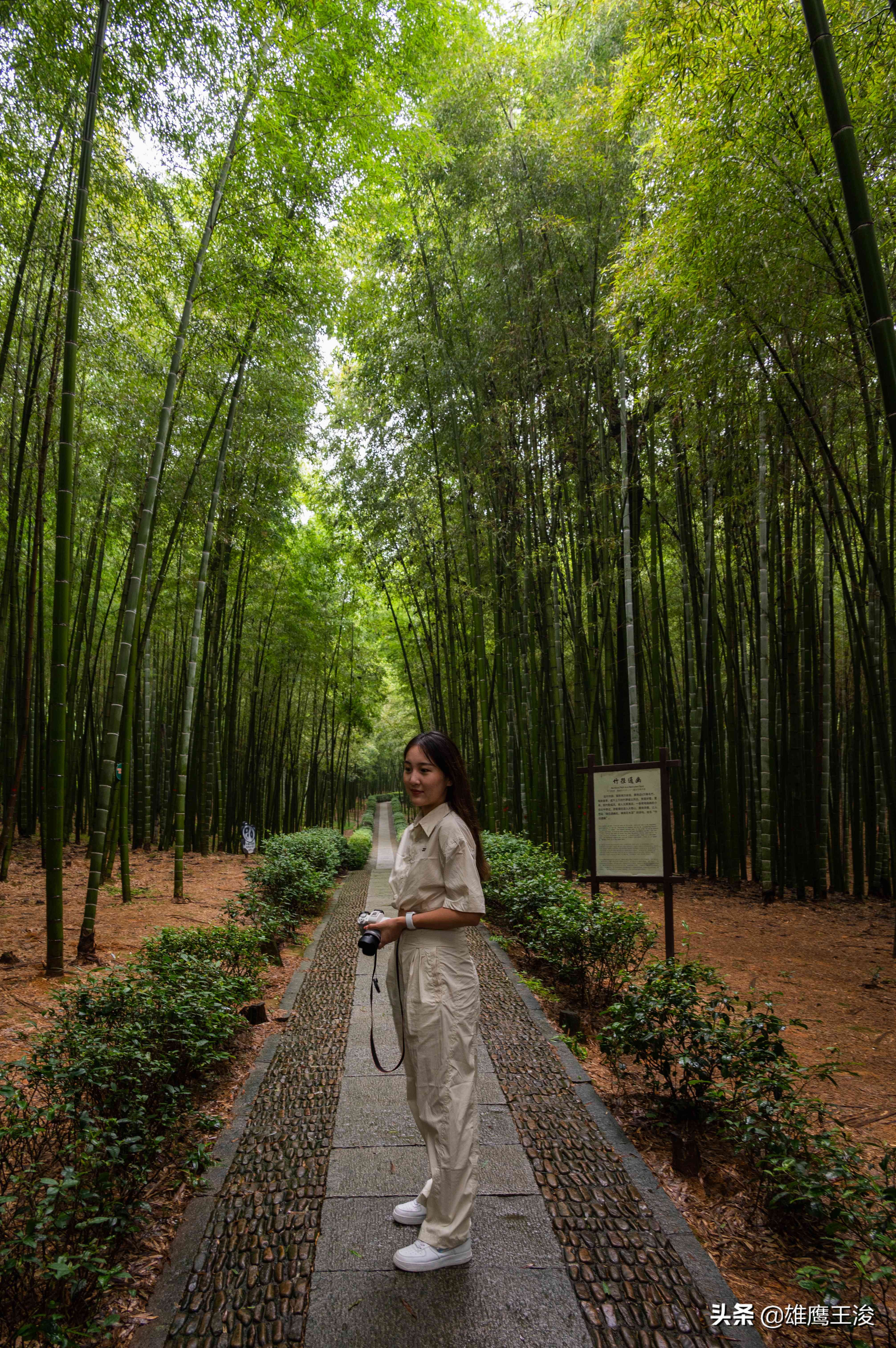 杭州十月周边适合情侣旅游的地方,十月底杭州好玩的地方推荐