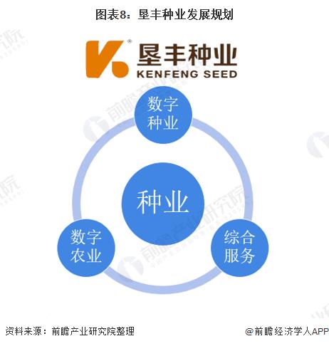 农发种业种子行业排名,种子行业深度报告