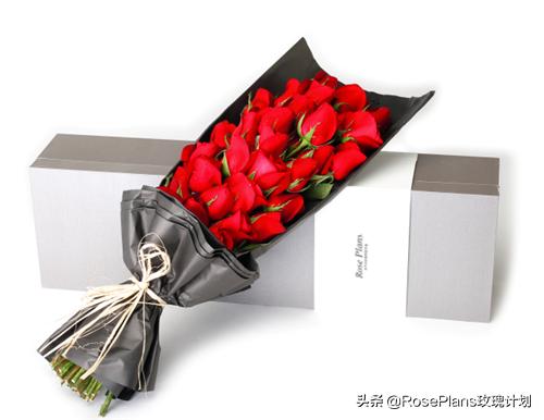 给女朋友送花送什么花最好,给女朋友生日送花送什么花