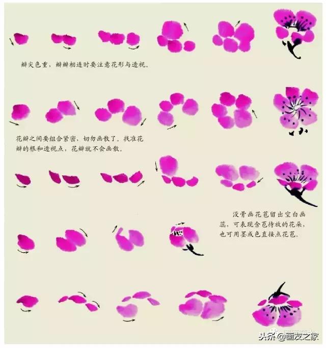 董寿平国画梅花老树干的画法,国画梅花花瓣的画法视频教程