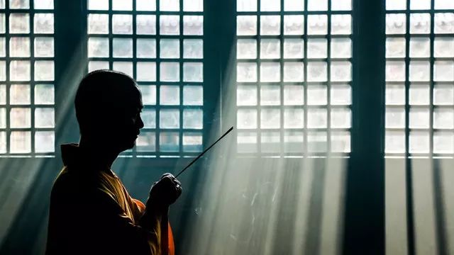 苏州的碧螺春,苏州碧螺春明前茶多少钱一斤