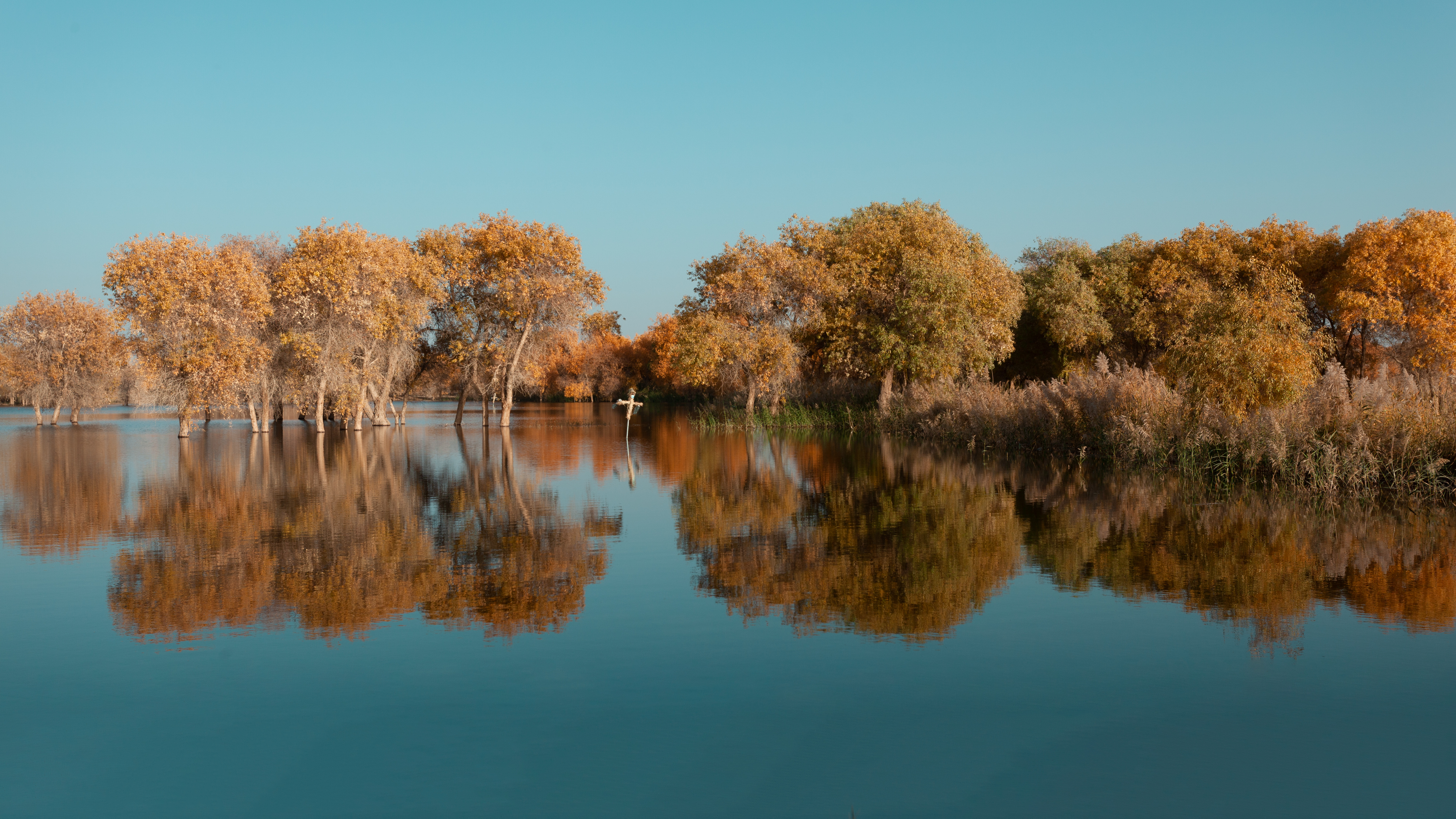 他告诉我，人有多大胆，远方就有多远