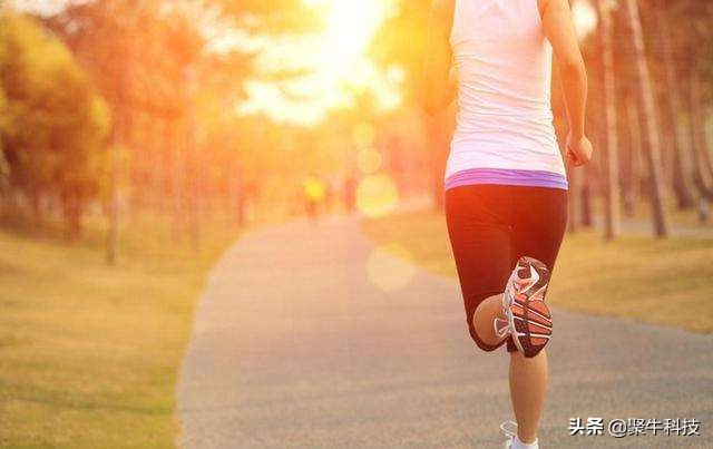 有氧运动手环排名第一名,乐心智能手环测评