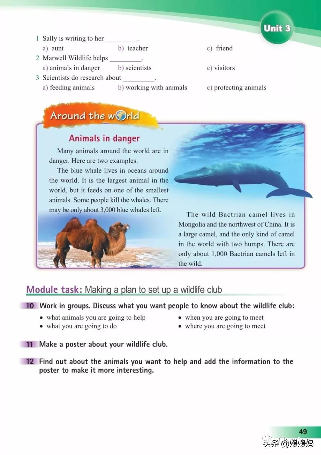 英语人民出版社八年级上册课本,人教版八年级上册英语电子课本
