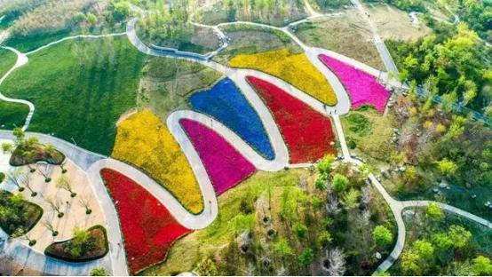 如今的长安,如今的长安是什么样