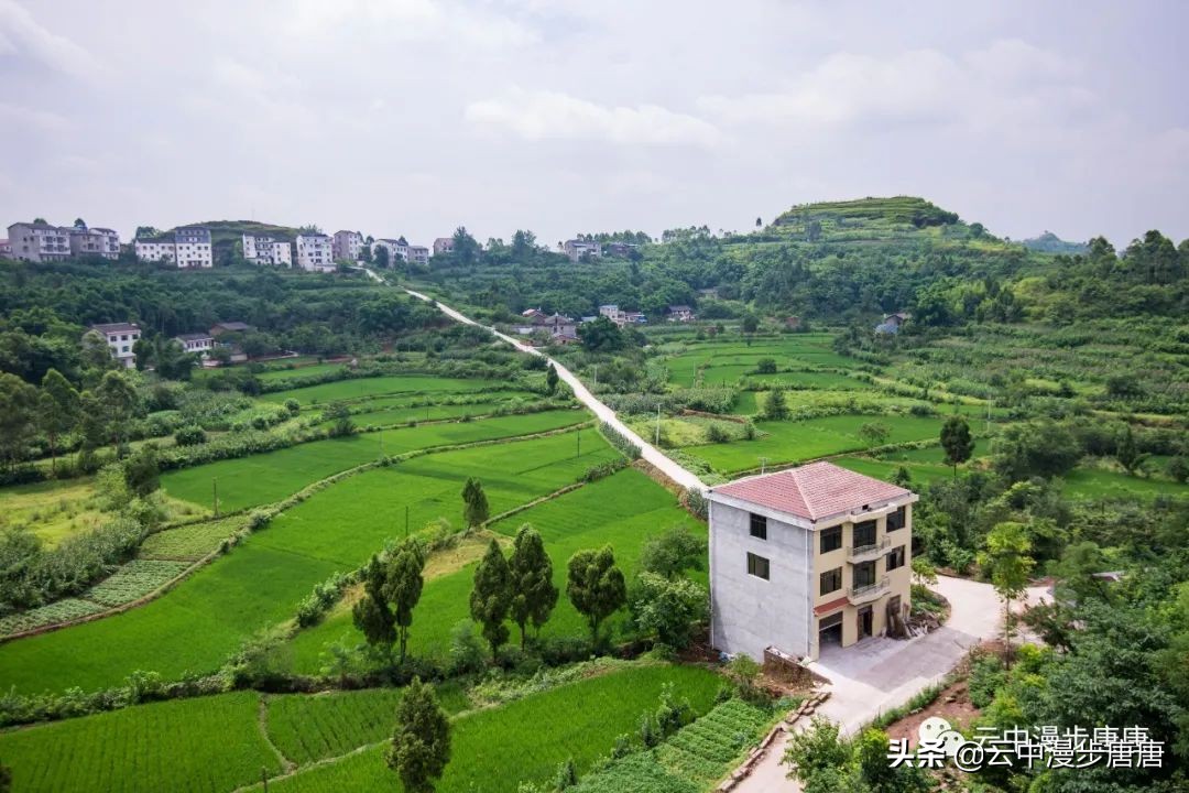 行走的风景岳池,行走的“风景”