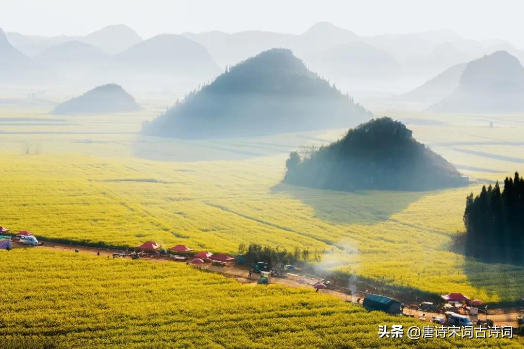 8首歌咏杏花唯美古诗词,春日游杏花吹满头陌上谁家年少