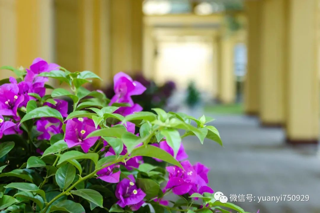 韶山绿皮火车站,打卡韶山这些红色地标