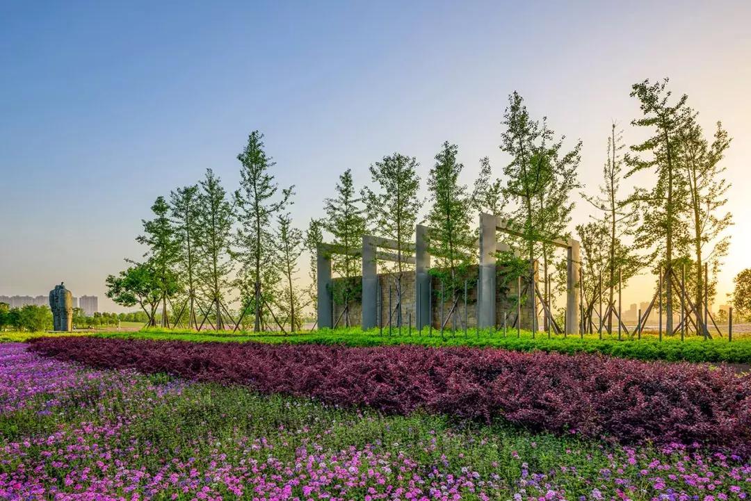 长沙洋湖湿地公园推荐视频,长沙洋湖湿地公园绿野仙踪