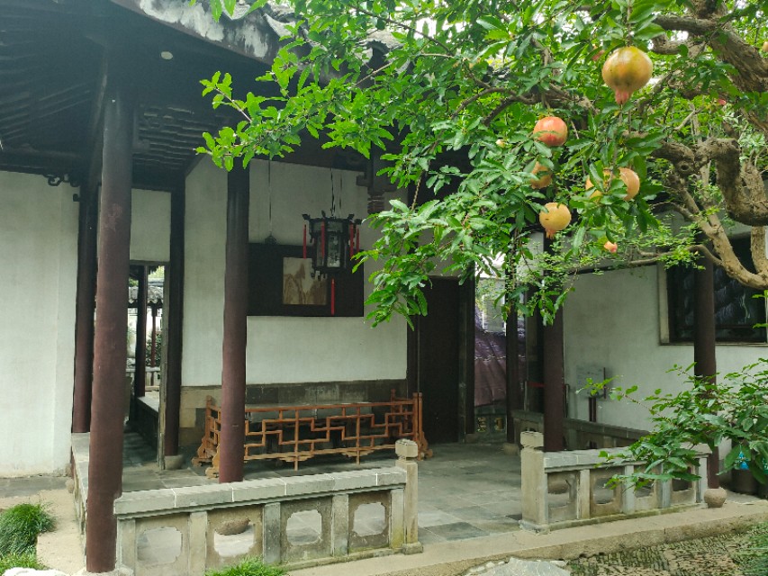 现实和画卷就隔着一扇门的距离，我推开苏州网师园的大门，流泪了