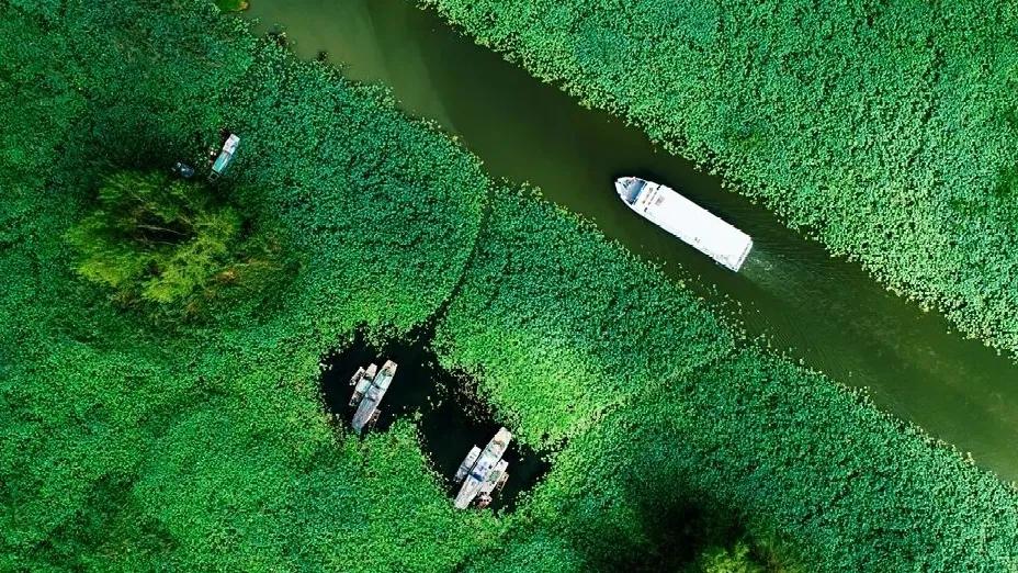 游玩赏荷花景点推荐,国家4a级景区荷花花海介绍