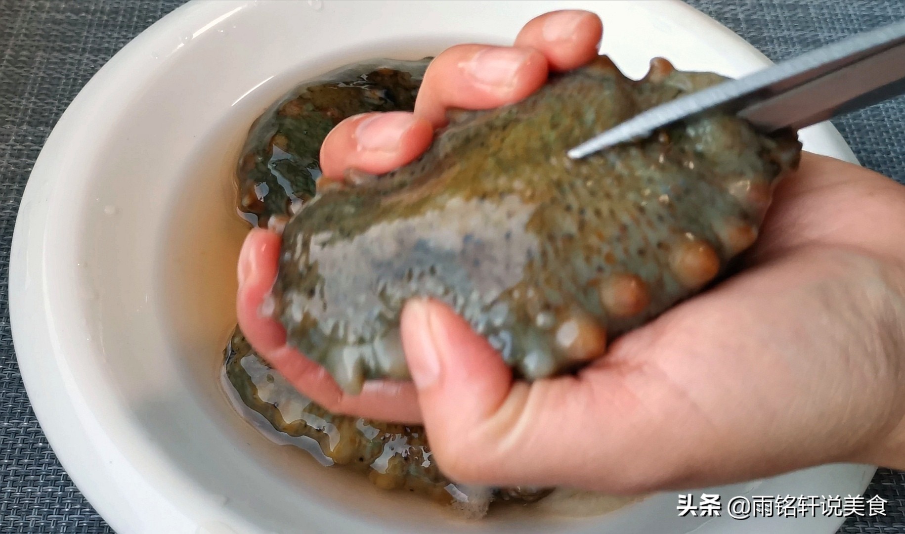 如何做海参既有营养又好吃,海参怎么弄好吃又营养教程